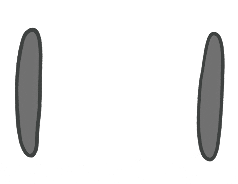 Google Business Profile Results