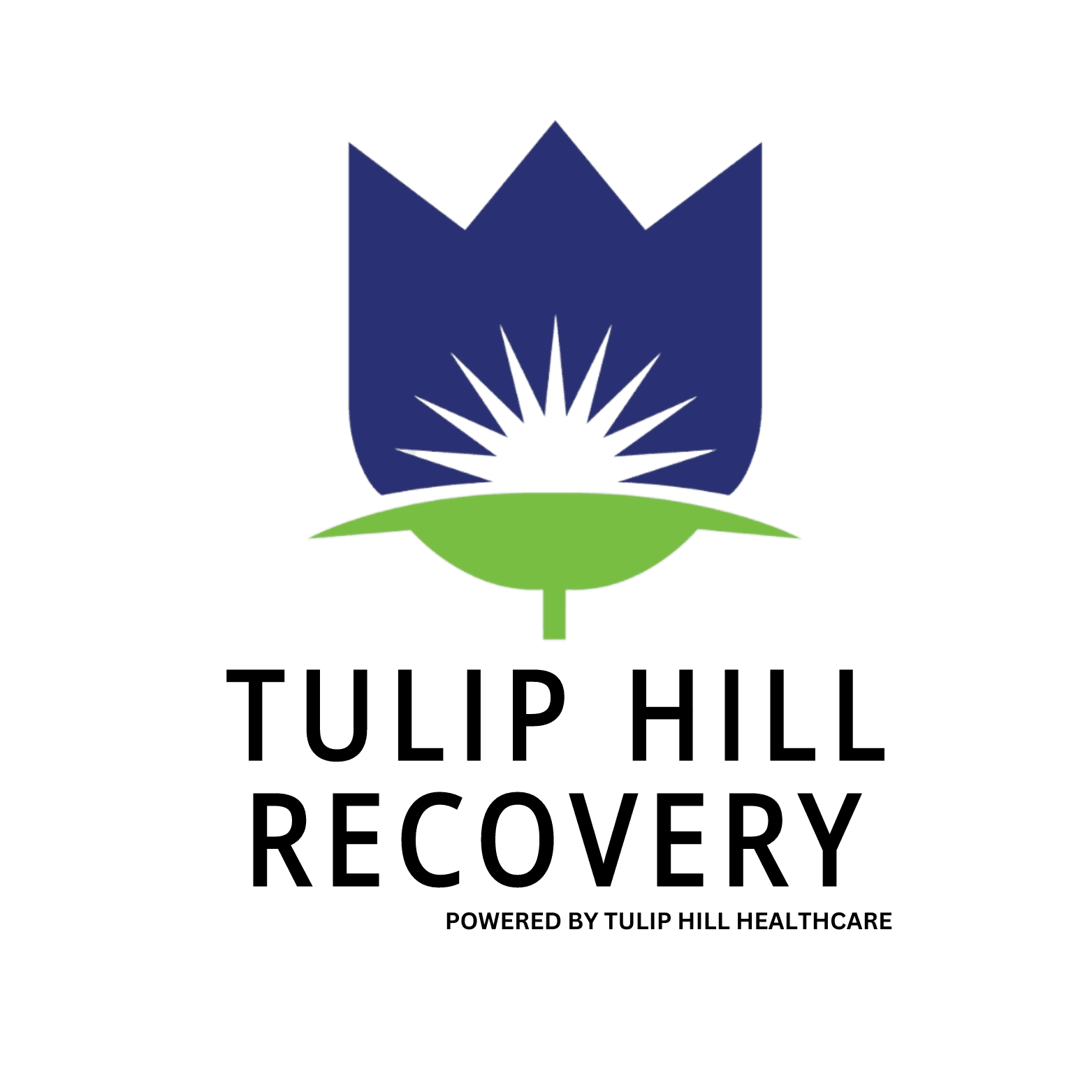 Tulip Hill Recovery